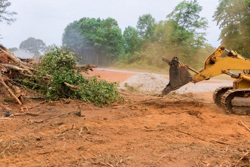 Land Clearing Process